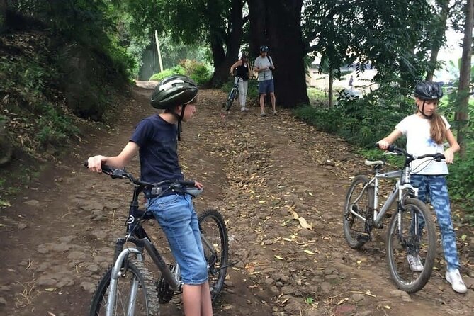 Mountain Bike Tour of the Foothills of Mount Meru - The local market and the taste of Tengeru