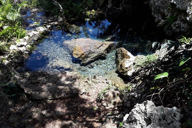 Mountain Bike tour to a Pristine Spring and Cave - The spring swim and cave stop