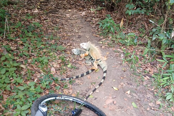 Mountain Bike tour to a Pristine Spring and Cave - Is $140 a fair price?