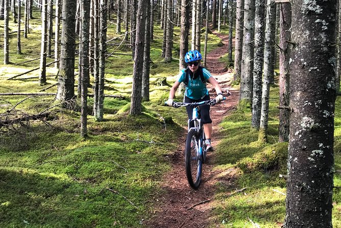 Mountain Bike - Voss Forest - How the ride feels for different skill levels