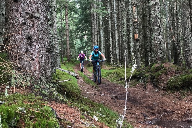 Mountain Bike - Voss Forest - Bikes, gear, and the small-group advantage