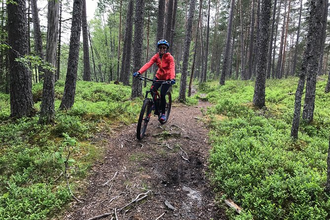 Mountain Bike - Voss Forest - Is $152.07 a fair price?