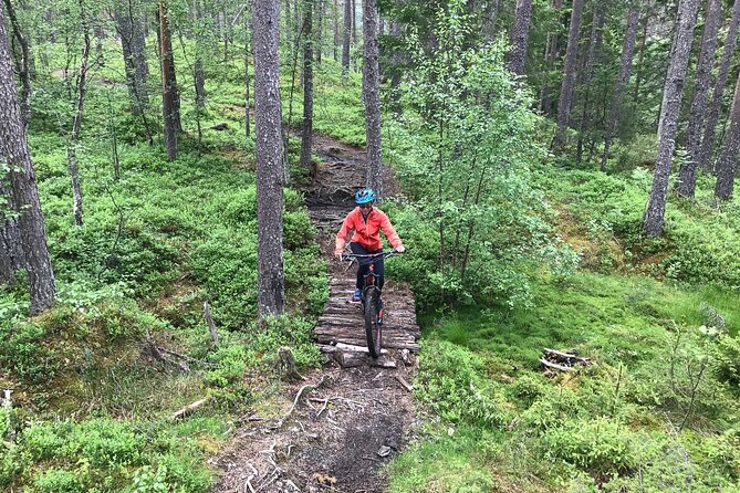Mountain Bike - Voss Storålsen - Berms, roots, rock rolls, and faster lines