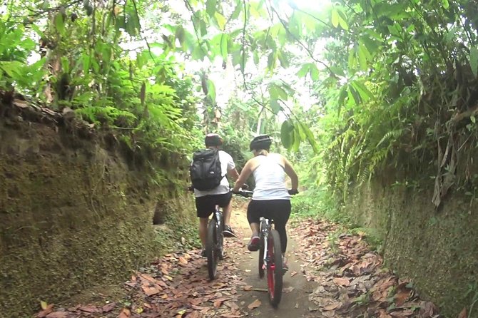 Mountain Biking and Waterfall Tour from Lombok - Kerta Gangga Waterfall Is the Main Prize
