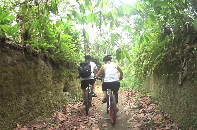Mountain Biking and Waterfall Tour from Lombok - A Note About the Route Beyond the Waterfall