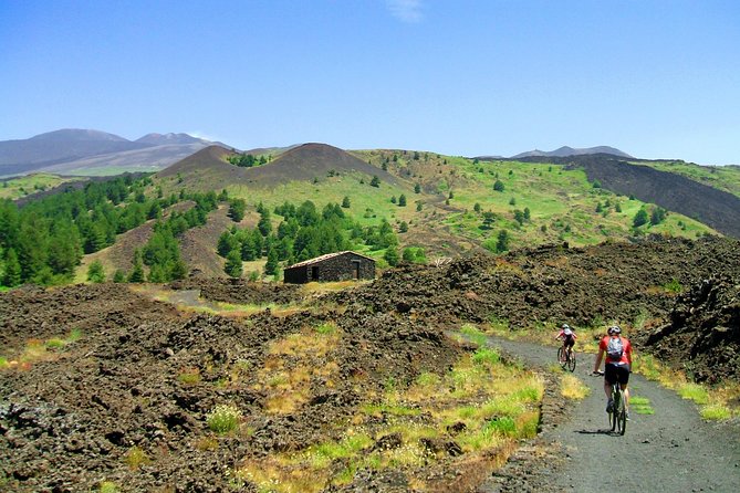 Mountain Biking Etna by MTB or E-Bike - A private ride, but not necessarily a gentle ride