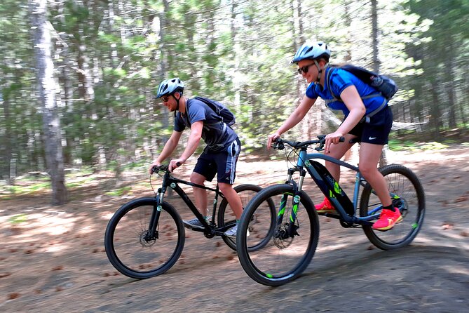 Mountain Biking Etna by MTB or E-Bike - The Pista Altomontana and Etna’s volcanic scenery