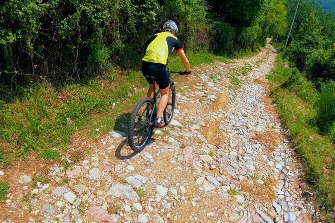 Mountain Biking on Vrmac peninsula - Panoramic view on Kotor bay - Meeting at Trojica above the bay
