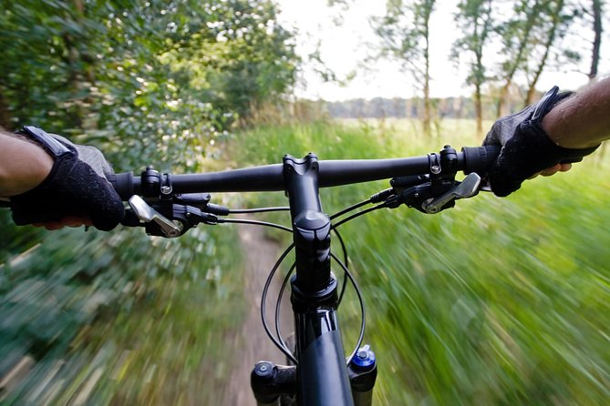 Mountain Biking Small-Group in Stockholm Forests for Beginners - What the first riding lesson really covers
