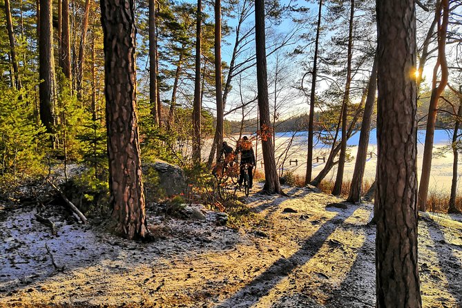 Mountain Biking Small-Group in Stockholm Forests for Beginners - Small group, personal guidance, and group-size fine print