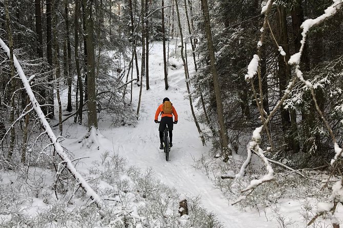 Mountain Biking Small-Group in Stockholm Forests for Beginners - Is the $144 price fair?