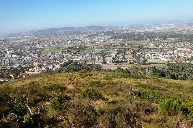 Mountain Biking Table Mountain to Constantia Morning Ride - Upper Kirstenbosch: bridges, wood chips, and climbing