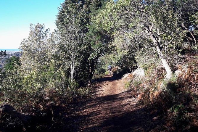 Mountain Biking Table Mountain to Constantia Morning Ride - How hard is the route?