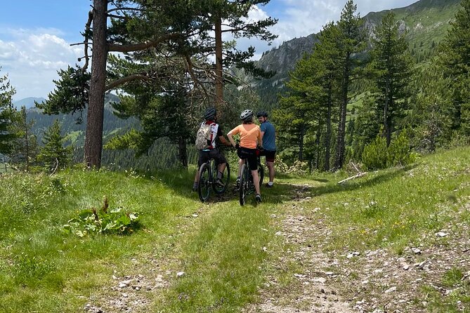 Mountain Biking Tour - Rural villages, cattle, and the best stops