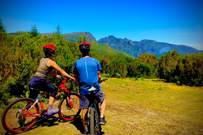 Mountain Biking Tour - Beginner Easy - Starting high above Madeira at Poiso