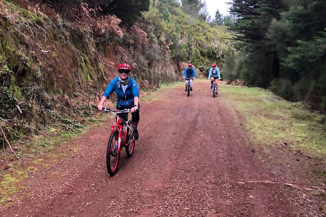 Mountain Biking Tour - Beginner Easy - Following levada trails toward Camacha