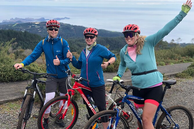Mountain Biking Tour - Beginner Easy - Entering Madeira’s ancient Laurel forest