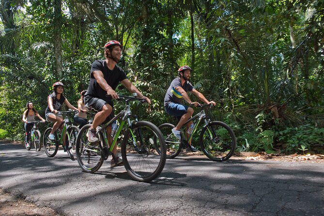 Mountain Cycling Tour - Who should book this cycling tour