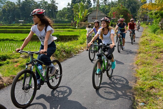 Mountain Cycling Tour - Temples, village life, and direct contact