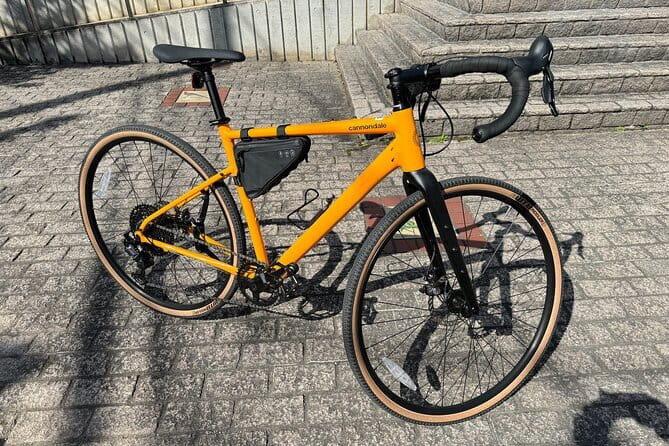 MTB, Hybrid or Gravel Road Bike Rental in Okutama, Tokyo - Why Okutama works so well for a bike day