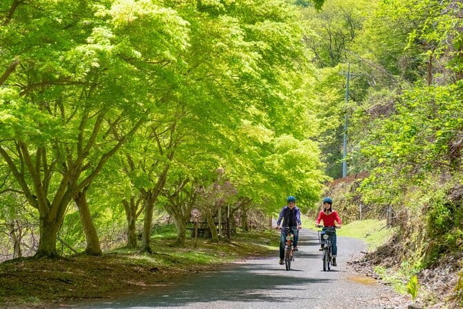 MTB, Hybrid or Gravel Road Bike Rental in Okutama, Tokyo - The Lake Okutama route and its practical appeal