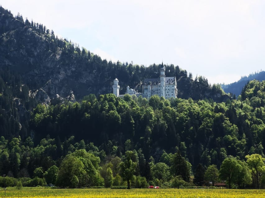 Munich: Neuschwanstein Castle by Bus with Alpine Bike Ride - Lunch at a brewery near Neuschwanstein