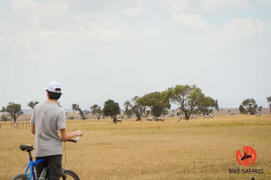 Nairobi: E-Bike/Cycling Wildlife Safari with Transfer & meal - The safety briefing and bicycle choice