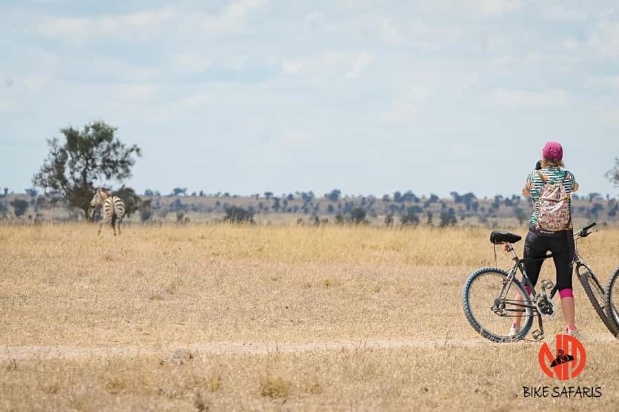 Nairobi: E-Bike/Cycling Wildlife Safari with Transfer & meal - A two-hour ride that suits beginners, with limits