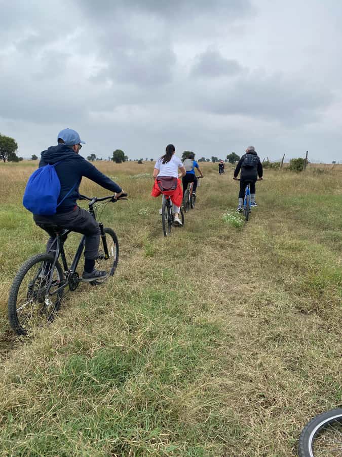 Nairobi: E-Bike/Cycling Wildlife Safari with Transfer & meal - Starting from Nairobi, with the transfer doing the hard work