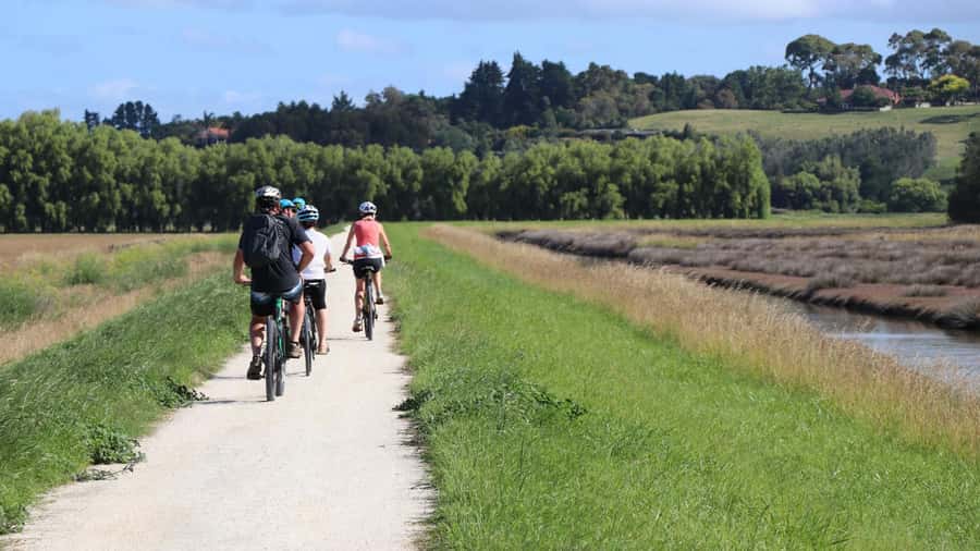 Napier: Art Deco Bike Ride and Wineries Loop - Following the coast toward Cape Kidnappers