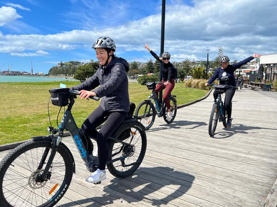 Napier: Cruise Self-Guided Cycle Ride to Winery - Half Day - Key points to know before you ride