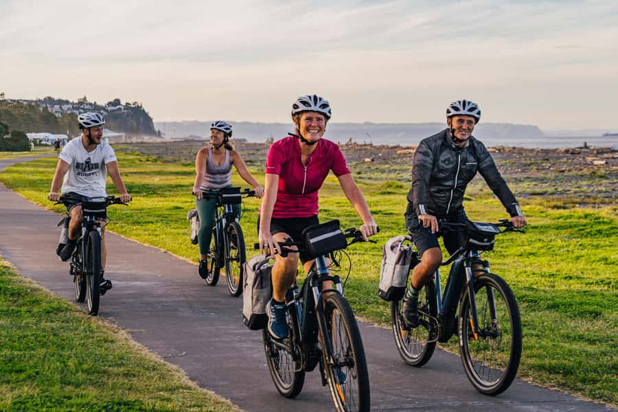 Napier: Cruise Self-Guided Cycle Ride to Winery - Half Day - What the ride feels like on the way out