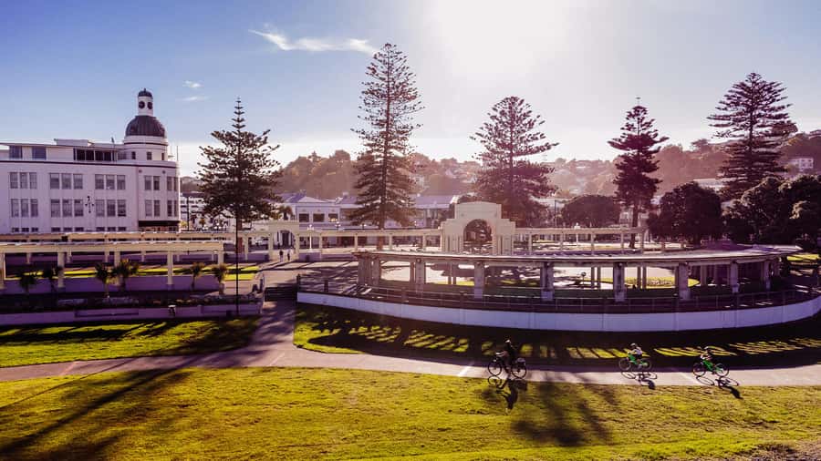 Napier: Cruise Self-Guided Cycle Ride to Winery - Half Day - Who will enjoy this outing most