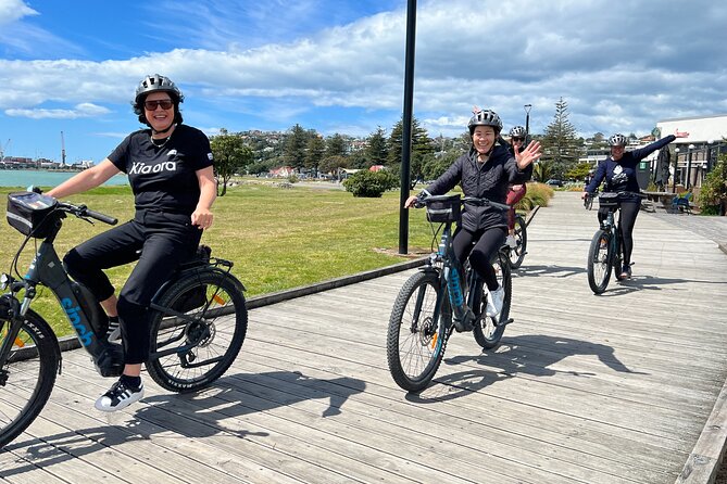 Napier: Cycle to Wineries - Half Day, self-guided - Starting beside Marine Parade