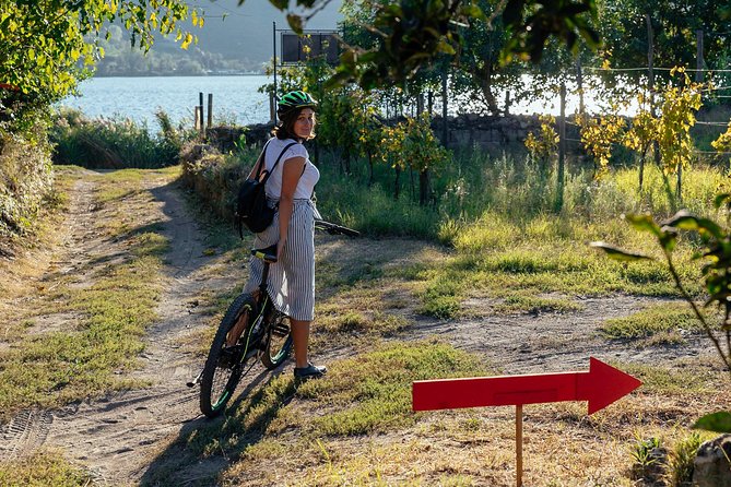 Naples Scenic E-Bike Ride to a Local Vineyard with Meal - Lake Averno and the vineyard setting