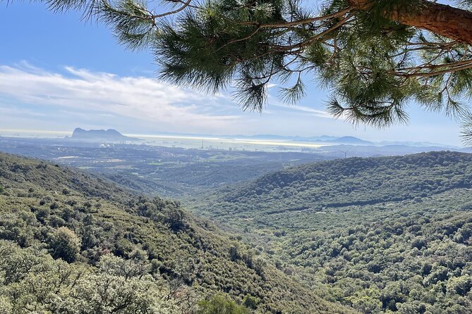 Natural Reserve on Electric Mountain Bike with Guide - Two hours in the Alcornocales Natural Park