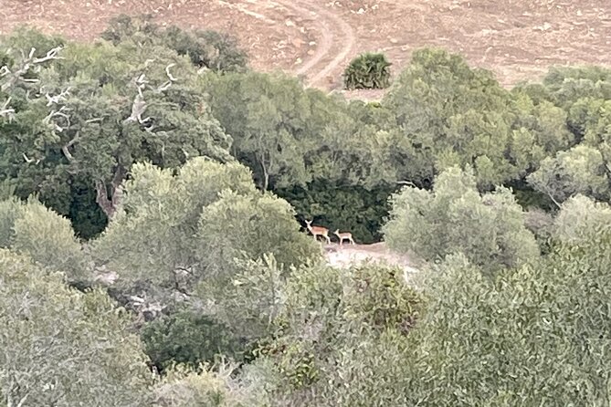 Natural Reserve on Electric Mountain Bike with Guide - What the guide adds to the experience