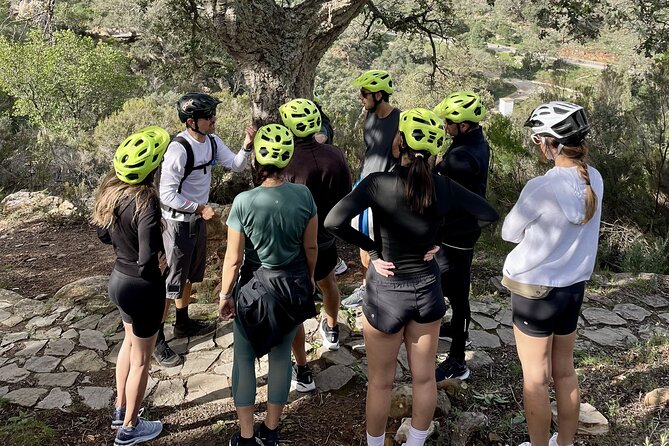 Natural Reserve on Electric Mountain Bike with Guide - Climbing to Castellar Castle