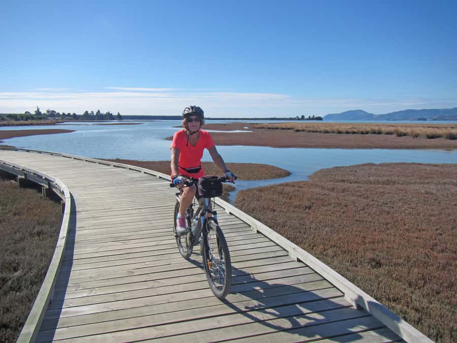 Nelson: Great Taste Trail Coastal Bike Ride to Mapua - Wetlands, birds, and the easy coastal trail