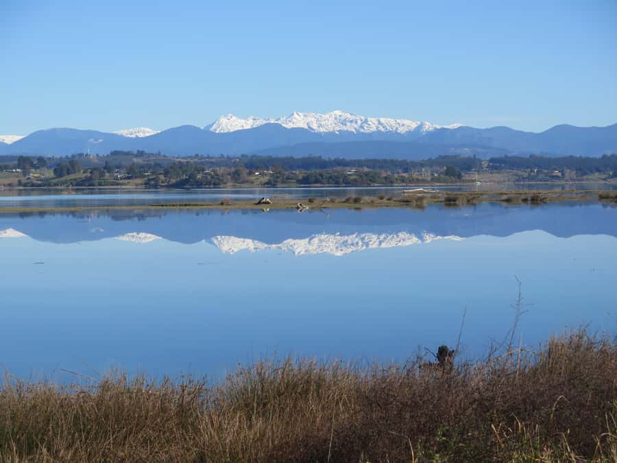 Nelson: Great Taste Trail Coastal Bike Ride to Mapua - Rabbit Island brings sand and a swim