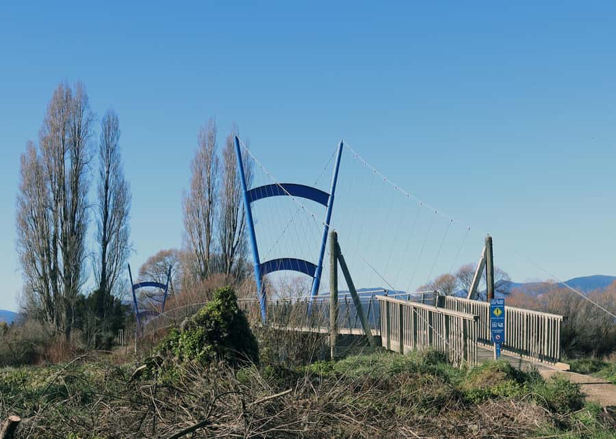 Nelson: Great Taste Trail Coastal Bike Ride to Mapua - The art glass stop is worth planning around