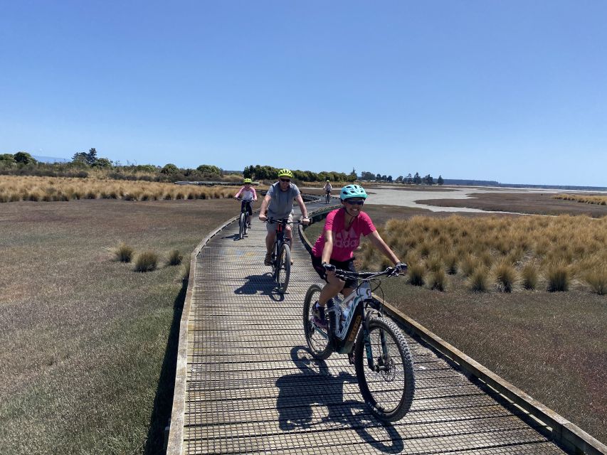 Nelson: Self-Guided Tunnel to Town Cycling Tour via Mapua - The 15-kilometer ride toward Mapua