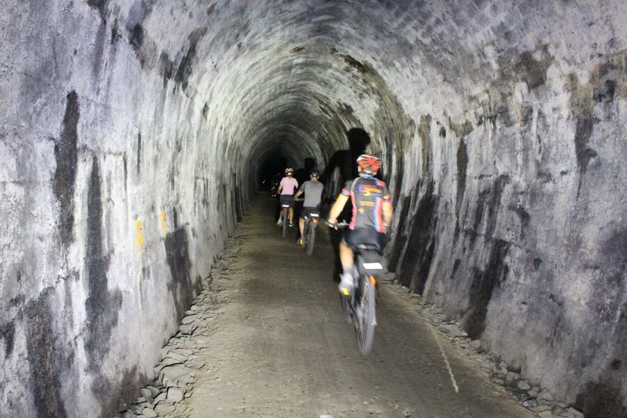 Nelson: Self-Guided Tunnel to Town Cycling Tour via Mapua - Rabbit Island for sand and sea