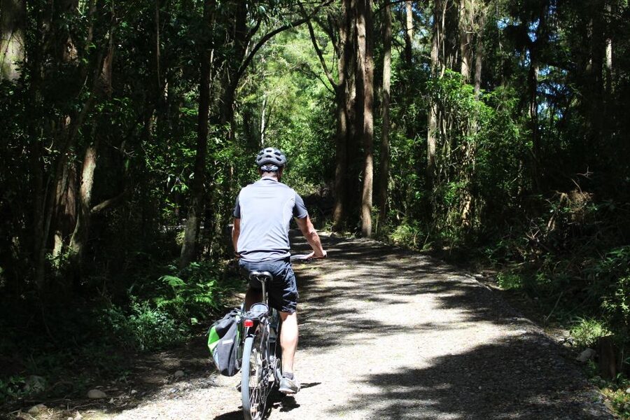 Nelson: Self-Guided Tunnel to Town Cycling Tour via Mapua - What the $93 price really covers