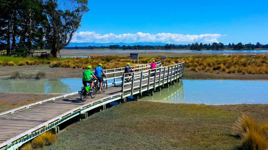 Nelson to Mapua: Full-Day Cycling Self-Guided Adventure - Key points to know before you ride