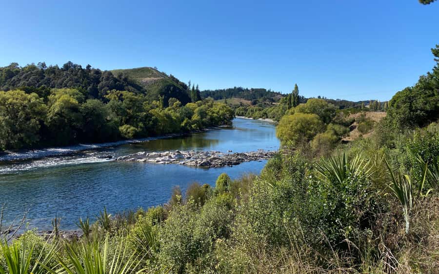 Nelson to Mapua: Full-Day Cycling Self-Guided Adventure - Rabbit Island for a swim and a slower break