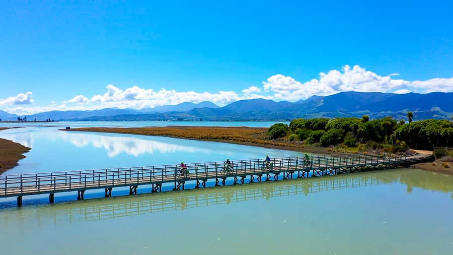 Nelson to Mapua: Full-Day Cycling Self-Guided Adventure - Leaving Nelson for the Classic Car Museum
