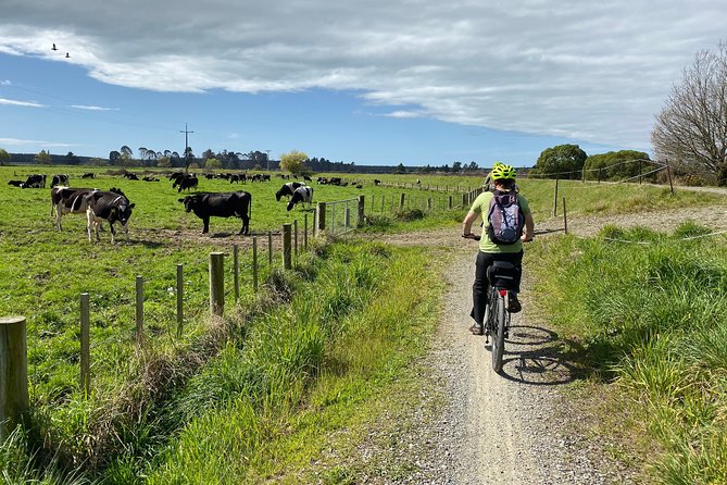 Nelson to Mapua: Full-Day Self-Guided Cycling Adventure - Weather, cancellations, and practical planning