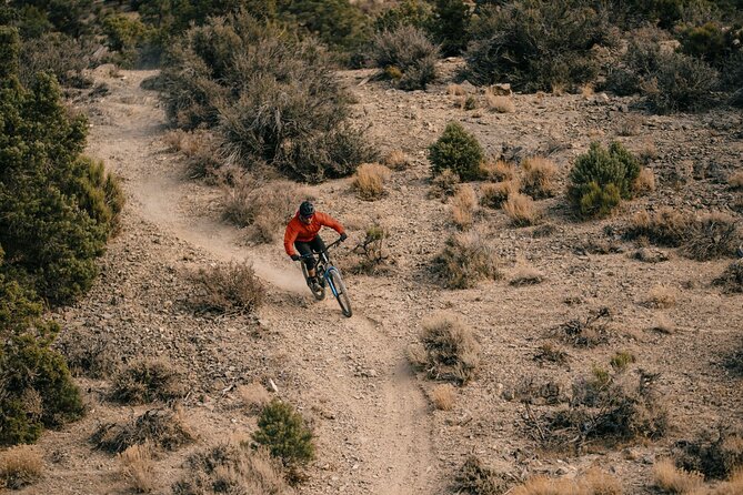 Nevada Trails to Rails Beginner & Intermediate Bike and Hike Tour - Day 4: Ward Mountain and the Ice Plant trails