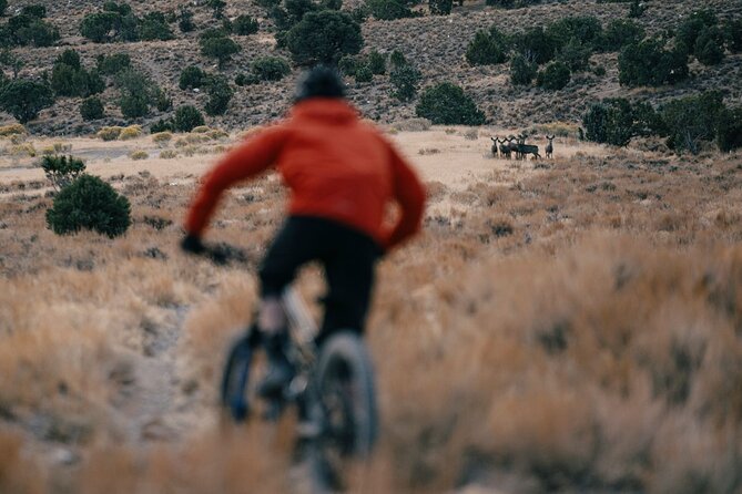 Nevada Trails to Rails Beginner & Intermediate Bike and Hike Tour - Day 6: Lehman Cave and a final ride at Sacramento Pass